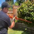 Corona Tree Service of Sunnyvale