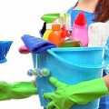 Sofa Cleaner