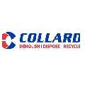 Collard Group