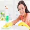 Spot Cleaner