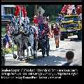 horsedrawn sleigh on wheels pennsylvania