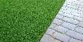 Rooftop Garden Ltd