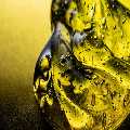 Fuel Testing Ltd