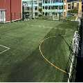 Synthetic Turf Company Ltd