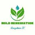 Mold Remediation Georgetown