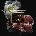 Maison La fleur Flowers (Miami, Brickell)
