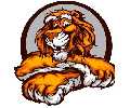 Junk Tigers Demolition