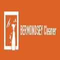 Bermondsey Cleaner