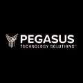 Pegasus Technology Solutions