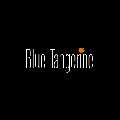Blue Tangerine Marketing Management