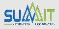 Summit Mitigation Restoration
