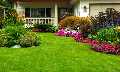 Foster City Lush Landscaping