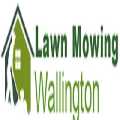 Lawn Mowing Wallington