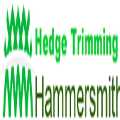 Hedge Trimming Hammersmith
