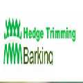 Hedge Trimming Barking