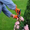 Lawn Mowing Thamesmead