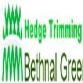 Hedge Trimming Bethnal Green