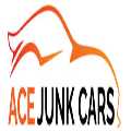 Ace Junk