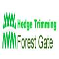 Hedge Trimming Forest Gate
