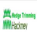 Hedge Trimming Hackney