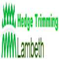 Hedge Trimming Lambeth