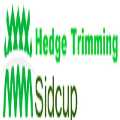 Hedge Trimming Sidcup