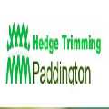 Hedge Trimming Paddington
