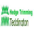 Hedge Trimming Teddington