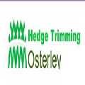 Hedge Trimming Osterley