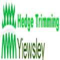 Hedge Trimming Yiewsley