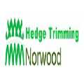 Hedge Trimming Norwood