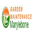 Garden Maintenance Marylebone