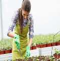 Garden Maintenance Seven Sisters