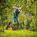 Garden Maintenance Palmers Green
