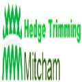 Hedge Trimming Mitcham