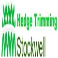 Hedge Trimming Stockwell