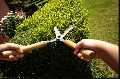 Garden Maintenance Golders Green