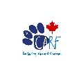 CARF Canada Dog Rescue