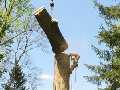 Robin's Tree Service