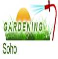 Gardening Soho