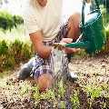 Garden Maintenance Pinner
