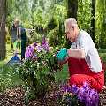 Gardening Brompton
