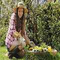 Gardening Maida Vale