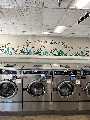 Paradise Laundry