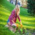 Hendon Gardening