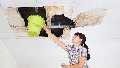 Ok Mold Remediation
