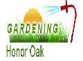 Gardening Honor Oak