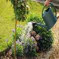 Gardeners Norbiton