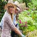 Gardening Muswell Hill