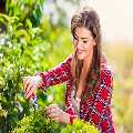 Gardening Colindale